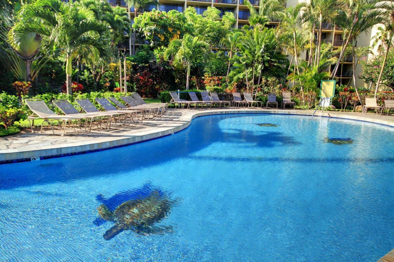 Kaanapali Shores 706 外观 照片